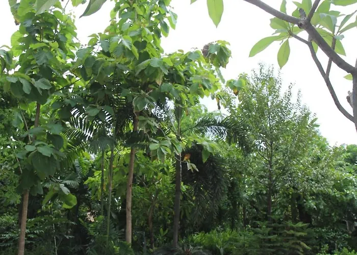 Homeku 2 Near Airport At Latkrabang Гостевой дом Бангкок